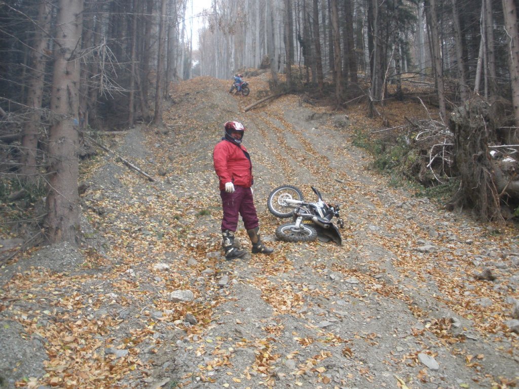 Натиснете снимката за да я уголемите

Име:PB130023.jpg
Прегледи:1
Размер:241.8 КБ
ID:5317859