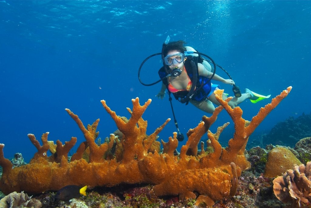 Натиснете снимката за да я уголемите

Име:Belize 10.jpg
Прегледи:1
Размер:124.8 КБ
ID:5320520