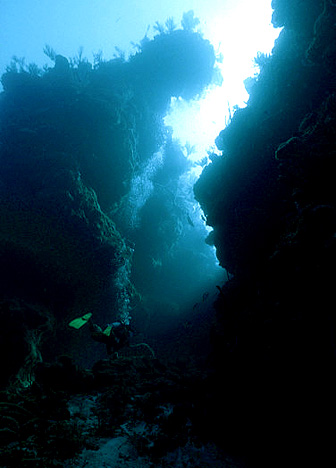Натиснете снимката за да я уголемите

Име:Blue-Hole-Belize_5.jpg
Прегледи:1
Размер:71.5 КБ
ID:5320521