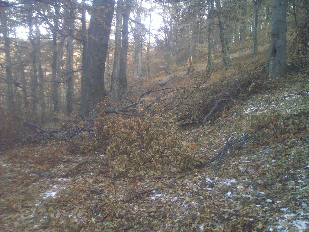 Натиснете снимката за да я уголемите

Име:20112011962.jpg
Прегледи:2
Размер:224.3 КБ
ID:5321023
