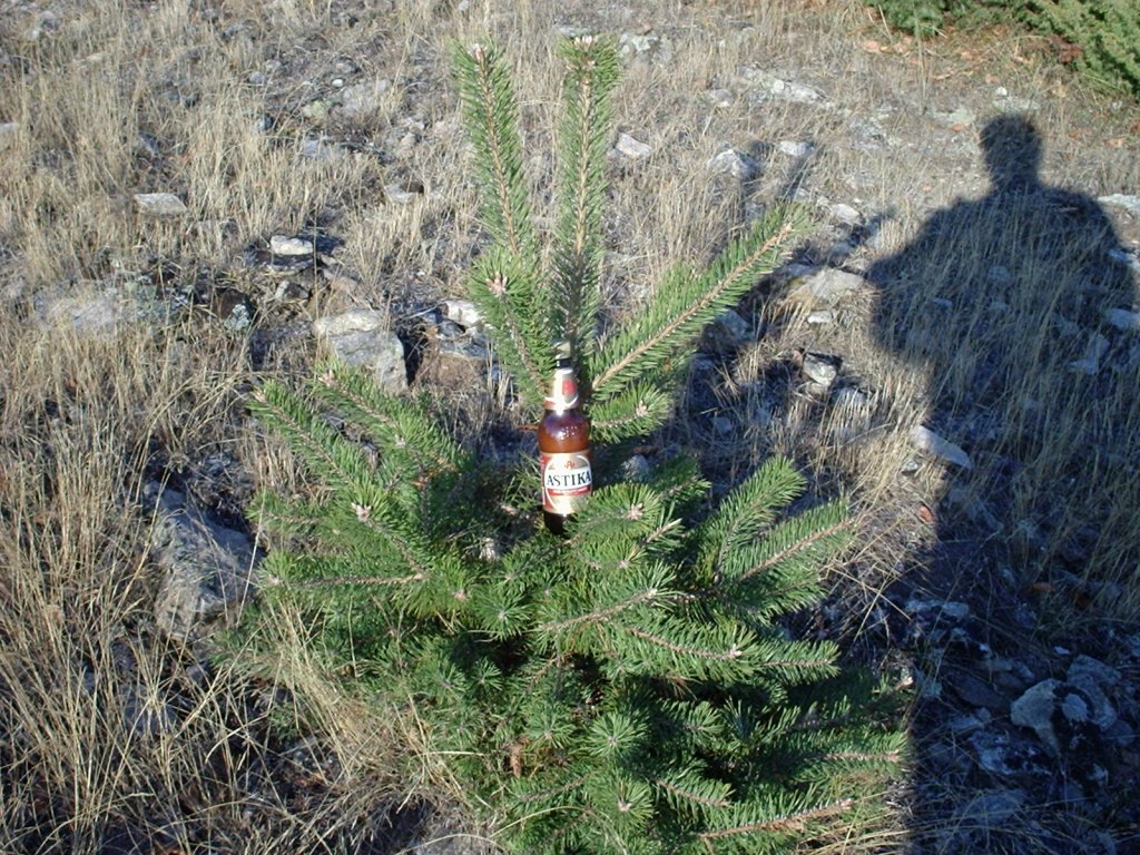 Натиснете снимката за да я уголемите

Име:Picture 346.jpg
Прегледи:1
Размер:279.0 КБ
ID:5324606