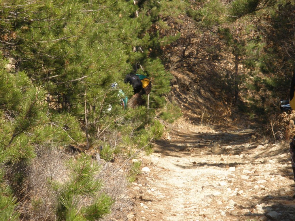 Натиснете снимката за да я уголемите

Име:PC040005.jpg
Прегледи:1
Размер:251.4 КБ
ID:5324983