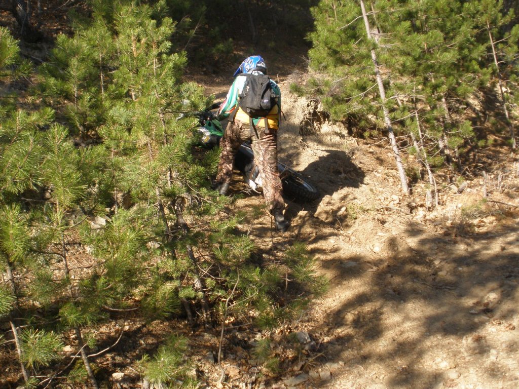 Натиснете снимката за да я уголемите

Име:PC040009.jpg
Прегледи:1
Размер:268.3 КБ
ID:5324987