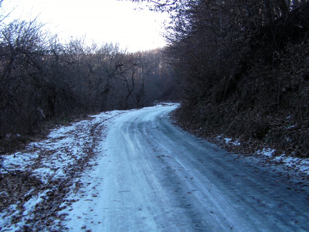 Натиснете снимката за да я уголемите

Име:CAM_0089.jpg
Прегледи:1
Размер:186.9 КБ
ID:5324991