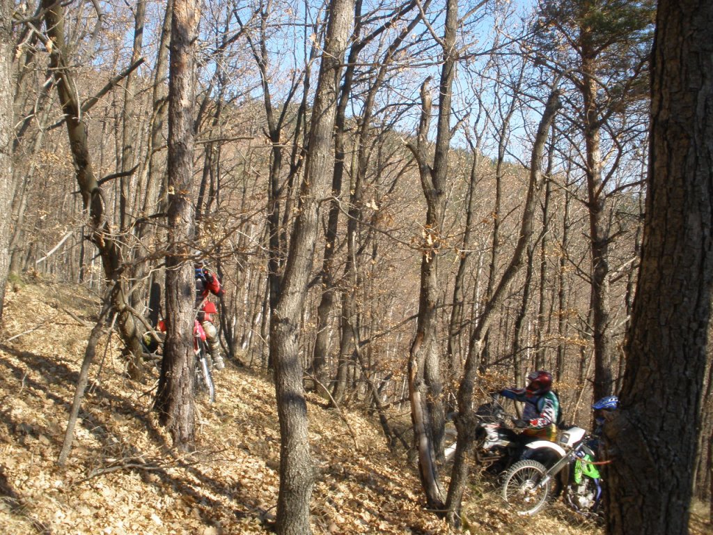 Натиснете снимката за да я уголемите

Име:PC040016.jpg
Прегледи:1
Размер:306.1 КБ
ID:5324999