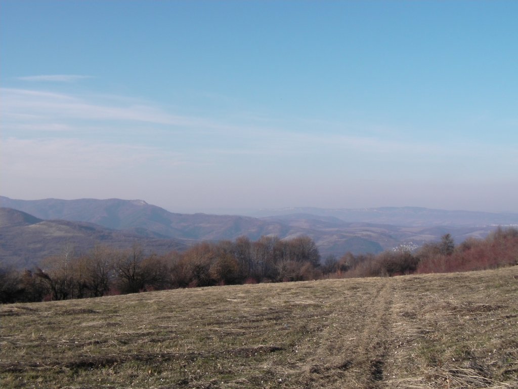 Натиснете снимката за да я уголемите

Име:CAM_0090.jpg
Прегледи:1
Размер:111.8 КБ
ID:5325033