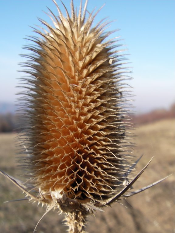 Натиснете снимката за да я уголемите

Име:CAM_0094.jpg
Прегледи:1
Размер:83.3 КБ
ID:5325035