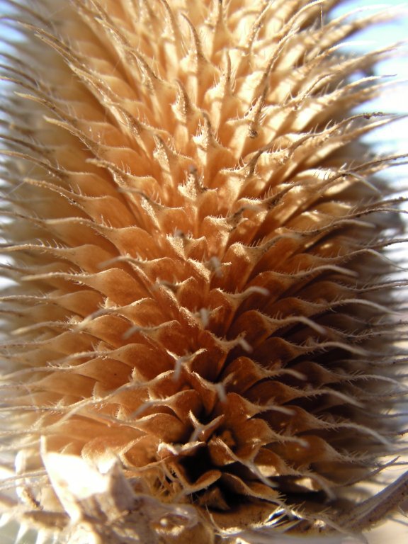 Натиснете снимката за да я уголемите

Име:CAM_0096.jpg
Прегледи:1
Размер:95.9 КБ
ID:5325036