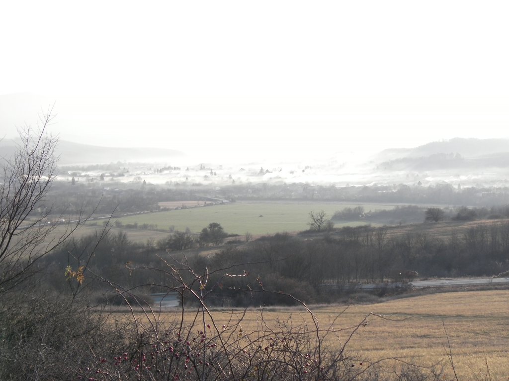 Натиснете снимката за да я уголемите

Име:CAM_0103.jpg
Прегледи:1
Размер:109.2 КБ
ID:5325039