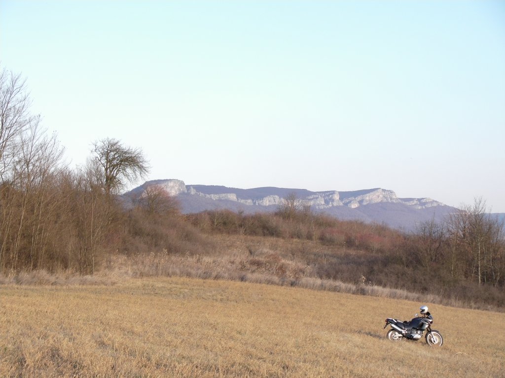 Натиснете снимката за да я уголемите

Име:CAM_0105.jpg
Прегледи:1
Размер:119.9 КБ
ID:5325040