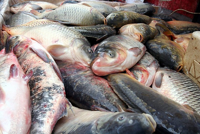 Снимка: Сергей Антонов