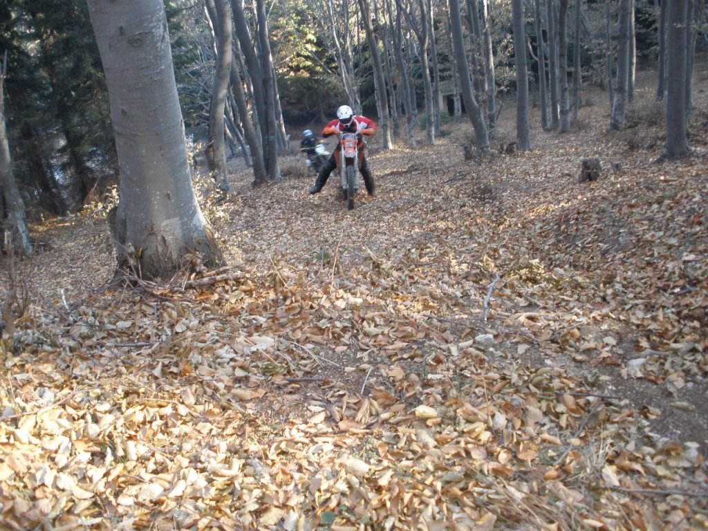 Натиснете снимката за да я уголемите

Име:PC040030.jpg
Прегледи:1
Размер:243.8 КБ
ID:5325358