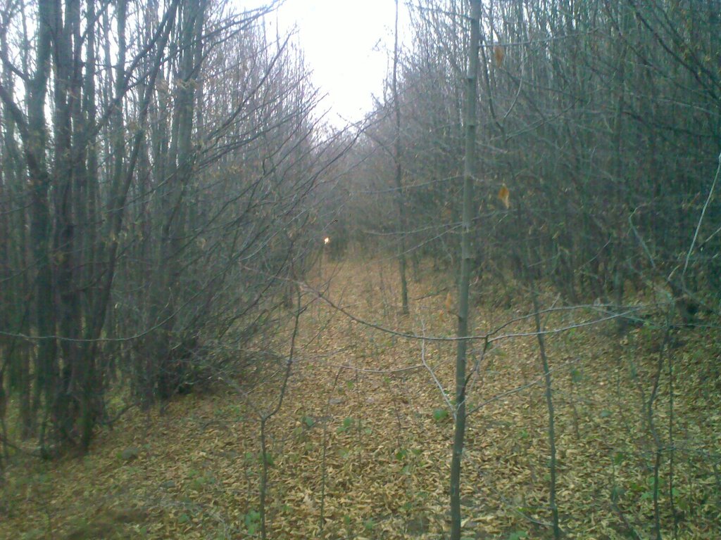 Натиснете снимката за да я уголемите

Име:11122011996.jpg
Прегледи:1
Размер:189.9 КБ
ID:5326187