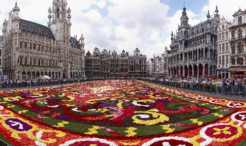 Натиснете снимката за да я уголемите

Име:Brussels_floral_carpet_B(1).jpg
Прегледи:1
Размер:164.2 КБ
ID:5952855