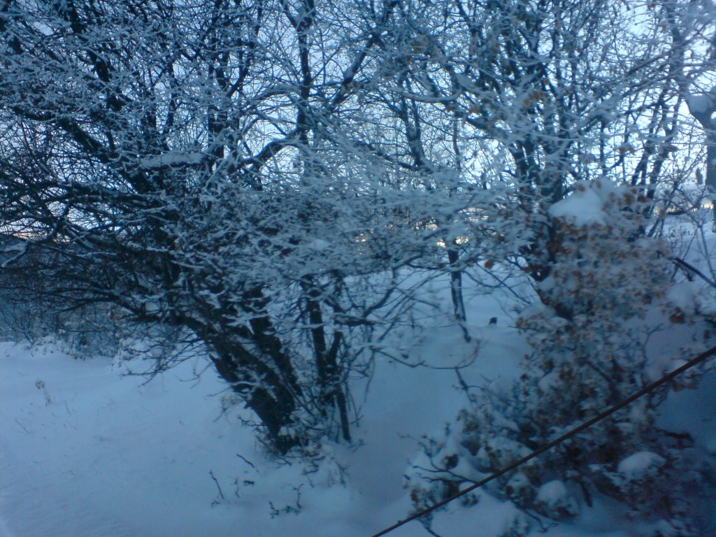Натиснете снимката за да я уголемите

Име:DSC08250.jpg
Прегледи:1
Размер:210.2 КБ
ID:5330282