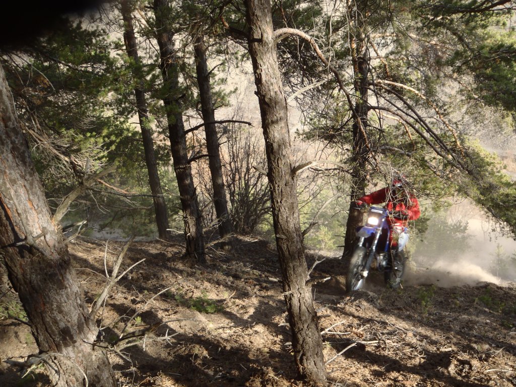 Натиснете снимката за да я уголемите

Име:083.jpg
Прегледи:1
Размер:292.2 КБ
ID:5330503
