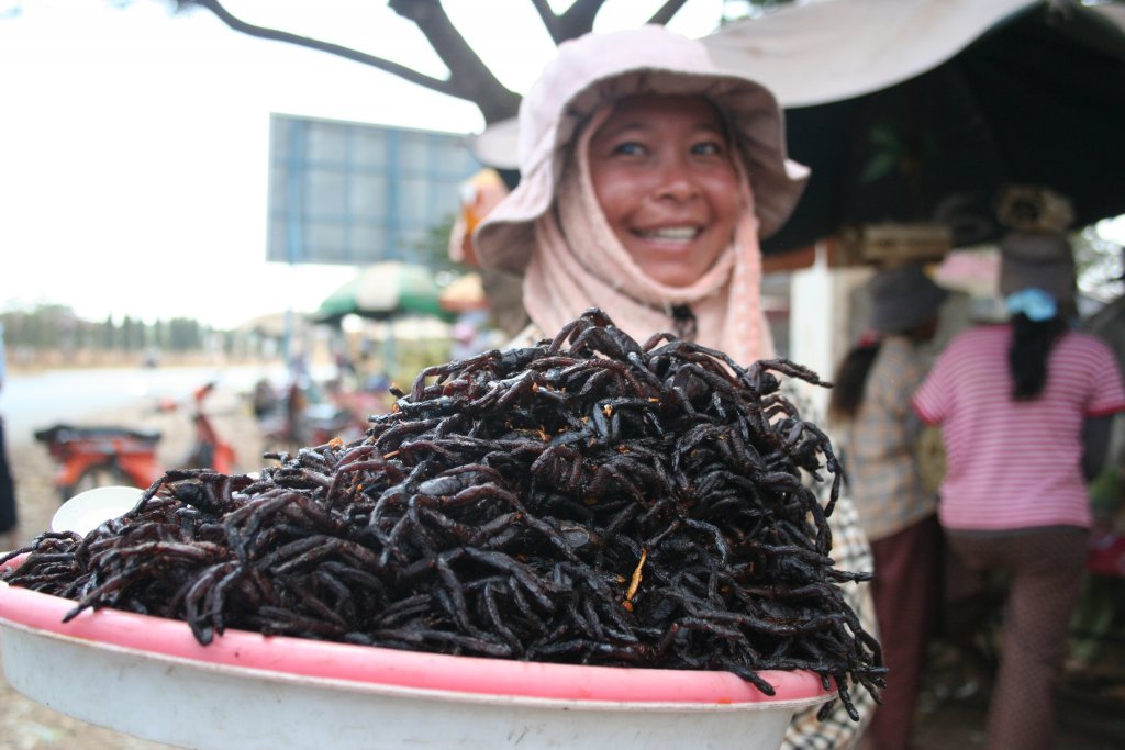 Натиснете снимката за да я уголемите

Име:Fried_spiders_Skuon_Cambodia.jpg
Прегледи:1
Размер:108.7 КБ
ID:5330760