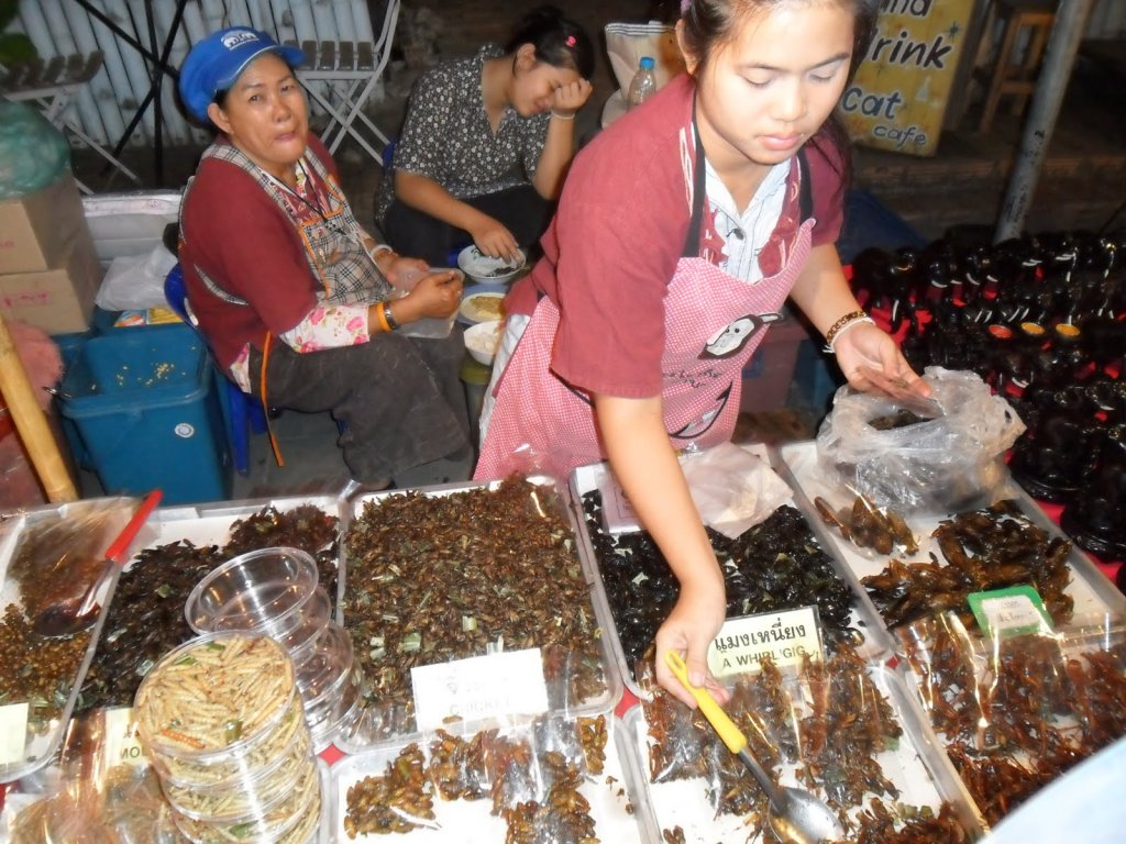 Натиснете снимката за да я уголемите

Име:pick-n-mix-bugs-sunday-market-chiang-mai-thailand.jpg
Прегледи:1
Размер:188.5 КБ
ID:5330768