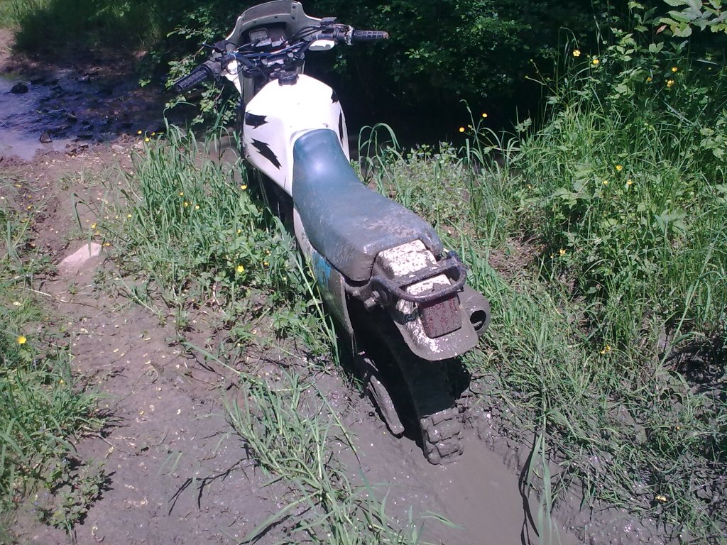 Натиснете снимката за да я уголемите

Име:29052011_006.jpg
Прегледи:1
Размер:282.0 КБ
ID:5332859
