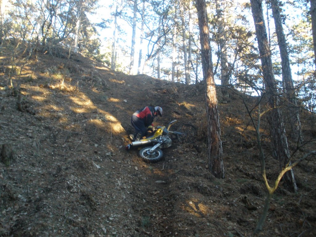 Натиснете снимката за да я уголемите

Име:P1020027.jpg
Прегледи:1
Размер:211.8 КБ
ID:5333069