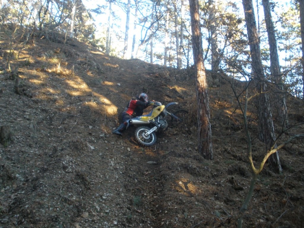 Натиснете снимката за да я уголемите

Име:P1020030.jpg
Прегледи:1
Размер:208.2 КБ
ID:5333071