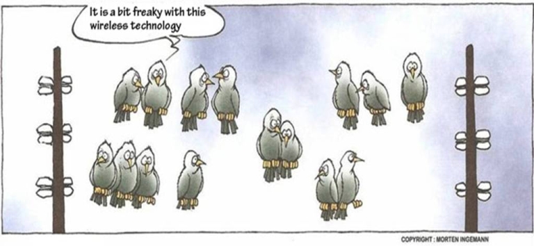 Натиснете снимката за да я уголемите

Име:birds.jpg
Прегледи:1
Размер:133.9 КБ
ID:5333583
