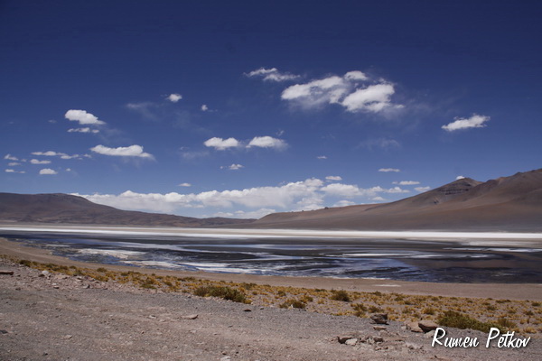 Натиснете снимката за да я уголемите

Име:_MG_1324.JPG
Прегледи:1
Размер:80.5 КБ
ID:5334601