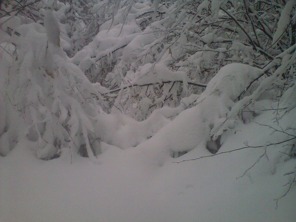 Натиснете снимката за да я уголемите

Име:100120121035.jpg
Прегледи:1
Размер:120.2 КБ
ID:5334630