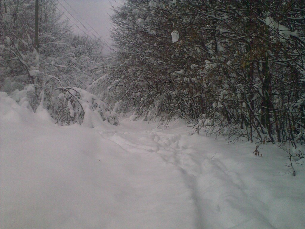 Натиснете снимката за да я уголемите

Име:100120121034.jpg
Прегледи:1
Размер:153.5 КБ
ID:5334631