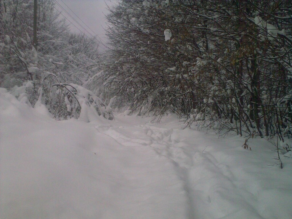 Натиснете снимката за да я уголемите

Име:100120121034.jpg
Прегледи:1
Размер:153.5 КБ
ID:5334631