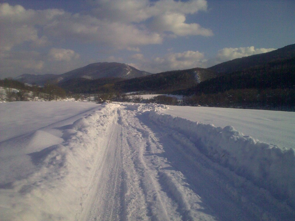 Натиснете снимката за да я уголемите

Име:170120121051.jpg
Прегледи:1
Размер:113.5 КБ
ID:5337637