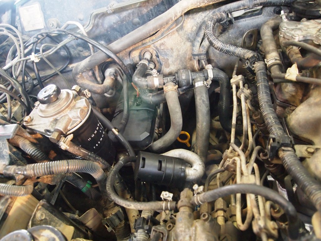 Натиснете снимката за да я уголемите

Име:P1245598.jpg
Прегледи:1
Размер:181.5 КБ
ID:5338931