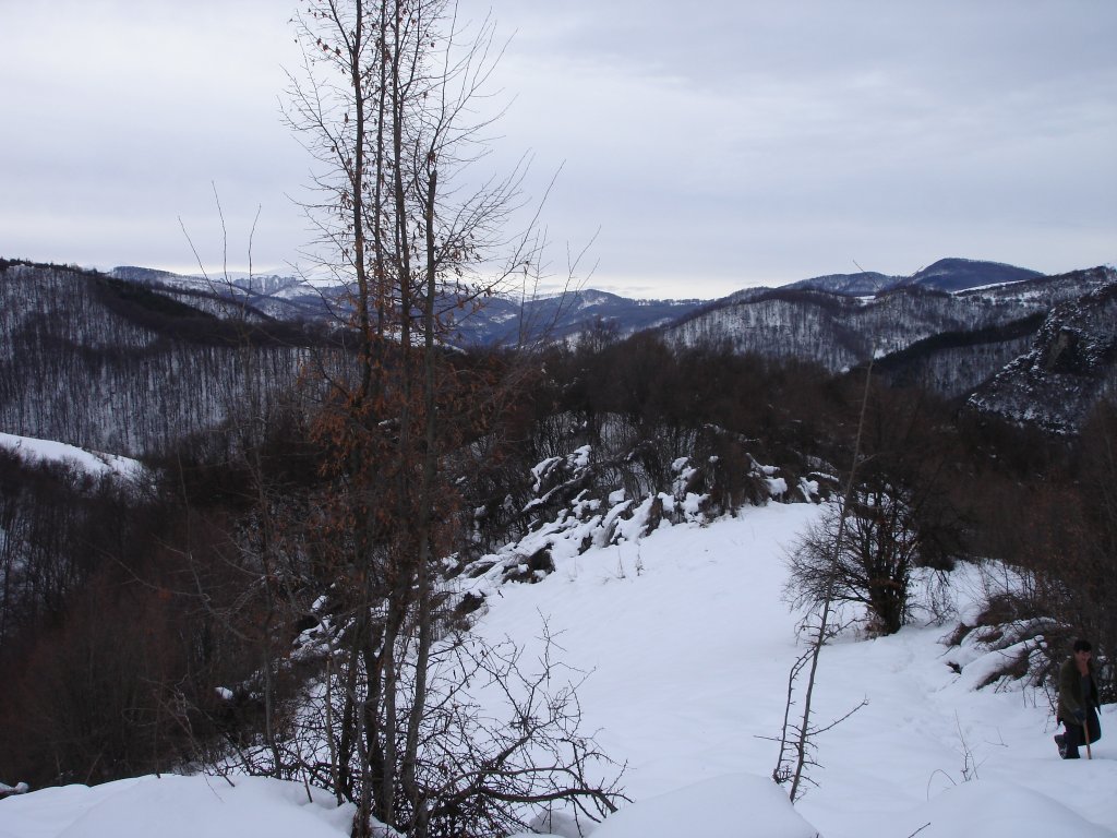 Натиснете снимката за да я уголемите

Име:DSC07601.jpg
Прегледи:1
Размер:158.3 КБ
ID:5339077