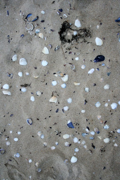 Натиснете снимката за да я уголемите

Име:IMG_1771.jpg
Прегледи:1
Размер:135.6 КБ
ID:5341586