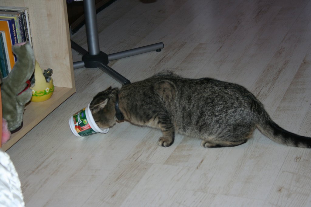 Натиснете снимката за да я уголемите

Име:IMG_3256.jpg
Прегледи:1
Размер:92.6 КБ
ID:5341709