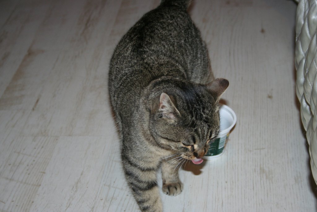 Натиснете снимката за да я уголемите

Име:IMG_3259.jpg
Прегледи:1
Размер:94.0 КБ
ID:5341710