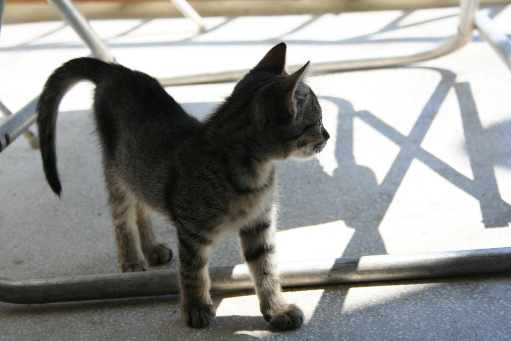 Натиснете снимката за да я уголемите

Име:IMG_7475.jpg
Прегледи:1
Размер:92.9 КБ
ID:5342254