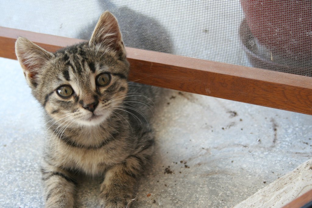 Натиснете снимката за да я уголемите

Име:IMG_7480.jpg
Прегледи:1
Размер:149.7 КБ
ID:5342255