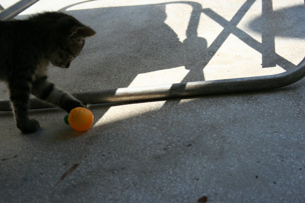 Натиснете снимката за да я уголемите

Име:IMG_7488.jpg
Прегледи:1
Размер:100.9 КБ
ID:5342256