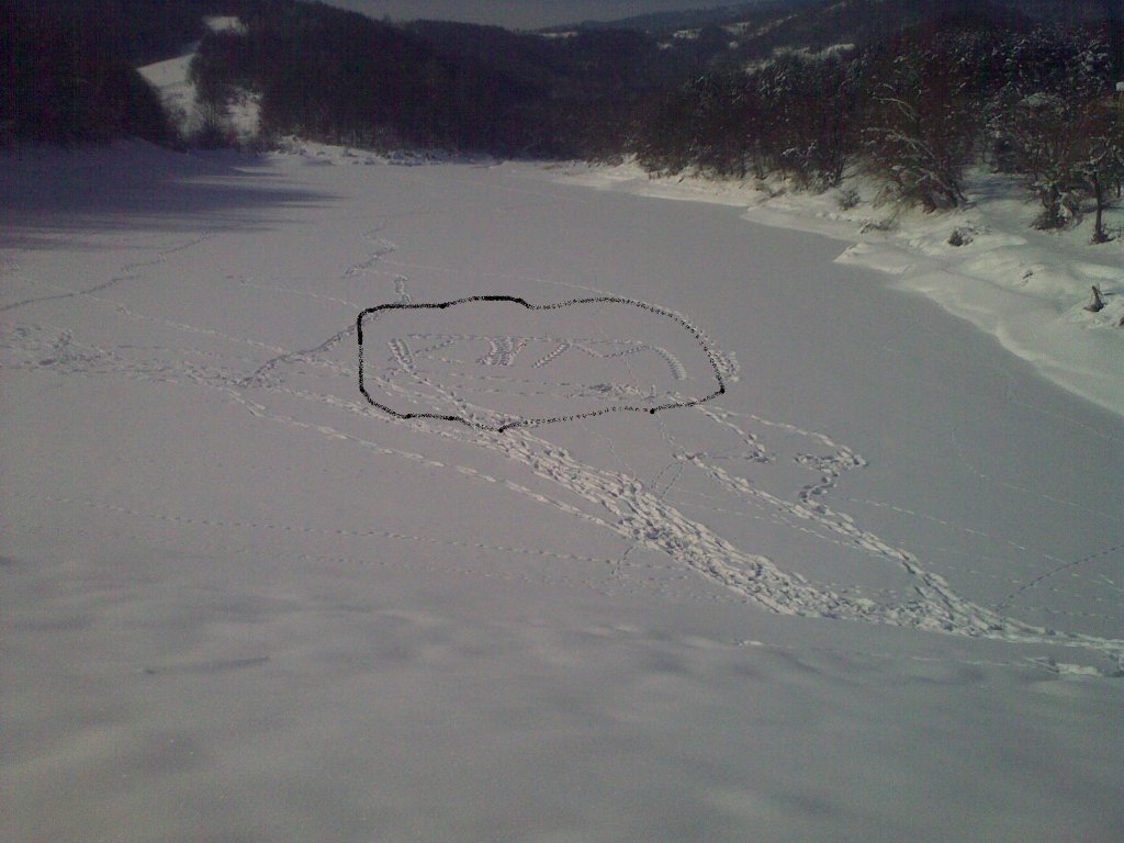 Натиснете снимката за да я уголемите

Име:010220121083.jpg
Прегледи:2
Размер:111.8 КБ
ID:5342623