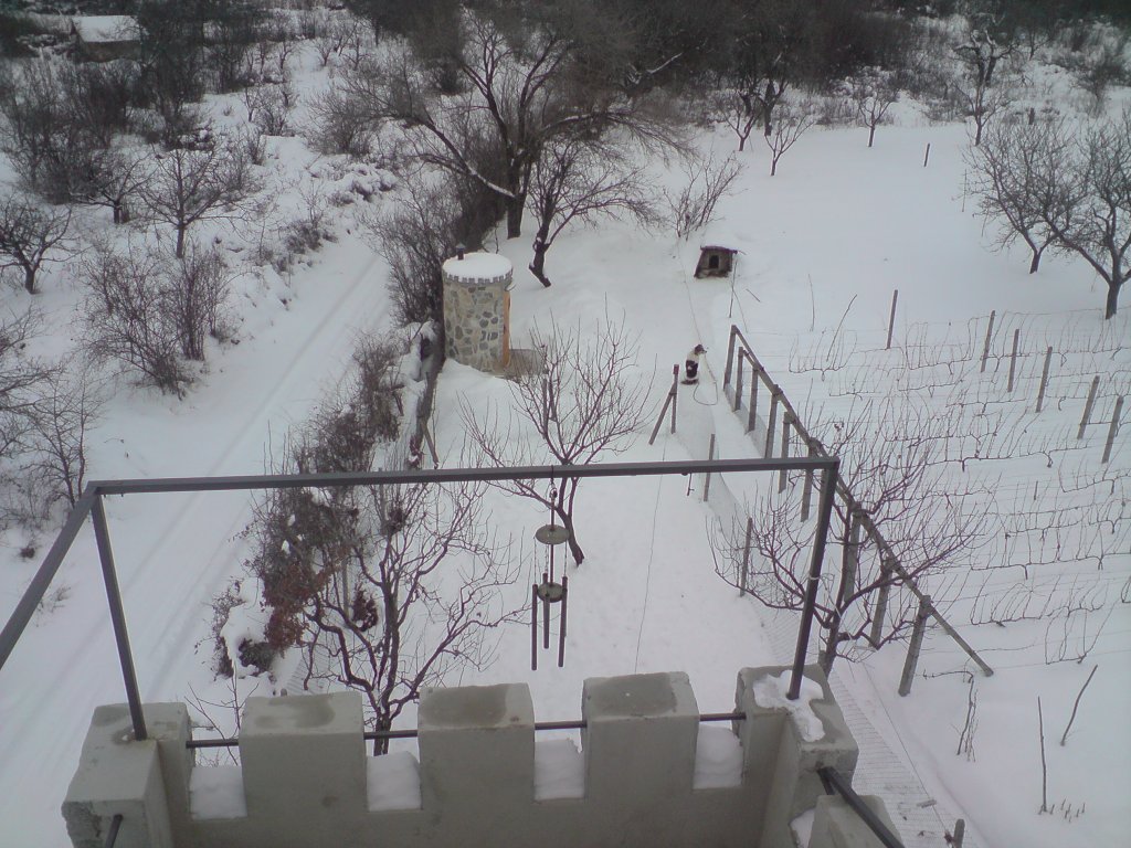 Натиснете снимката за да я уголемите

Име:DSC00363.jpg
Прегледи:1
Размер:181.3 КБ
ID:5342965