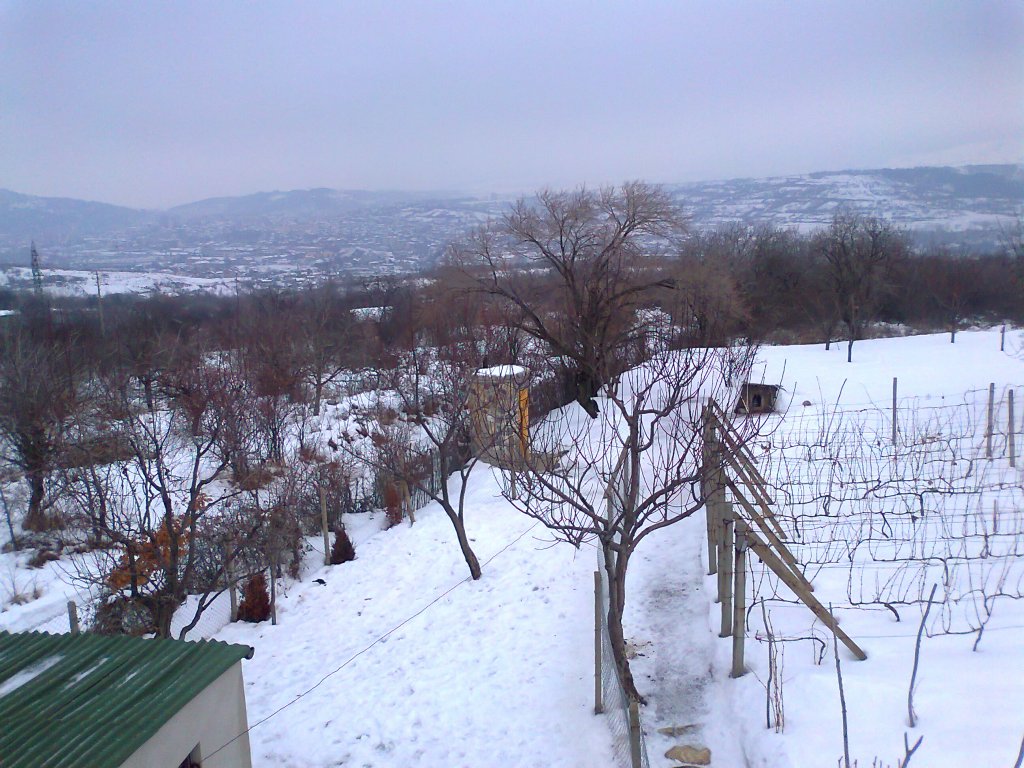 Натиснете снимката за да я уголемите

Име:Снимка3065.jpg
Прегледи:1
Размер:180.3 КБ
ID:5345293