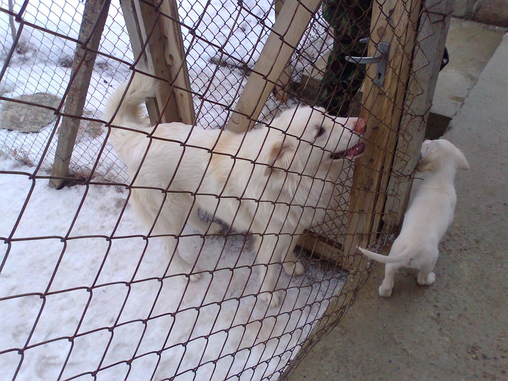 Натиснете снимката за да я уголемите

Име:Снимка3069.jpg
Прегледи:1
Размер:205.8 КБ
ID:5345295