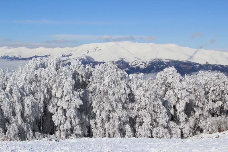 Натиснете снимката за да я уголемите

Име:IMG_1486-2.jpg
Прегледи:1
Размер:206.2 КБ
ID:5345517