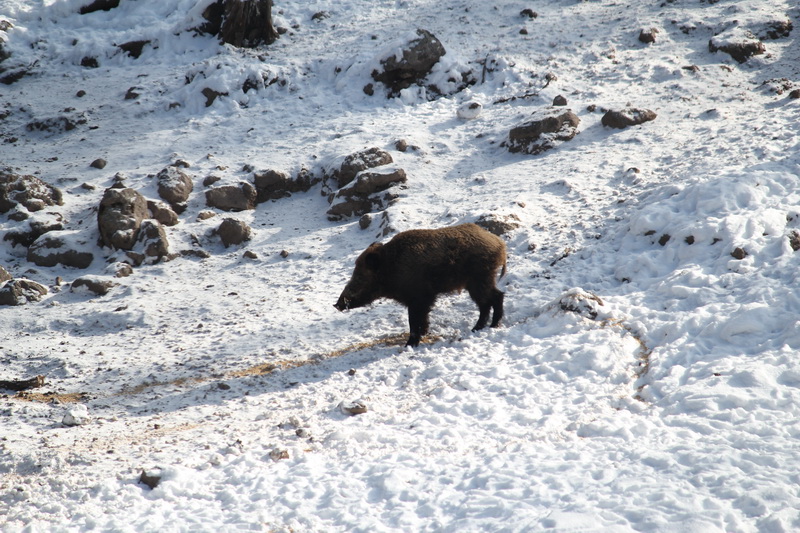 Натиснете снимката за да я уголемите

Име:IMG_1543-2.jpg
Прегледи:1
Размер:245.4 КБ
ID:5345519