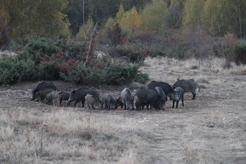 Натиснете снимката за да я уголемите

Име:IMG_4955-2.jpg
Прегледи:1
Размер:202.4 КБ
ID:5345520