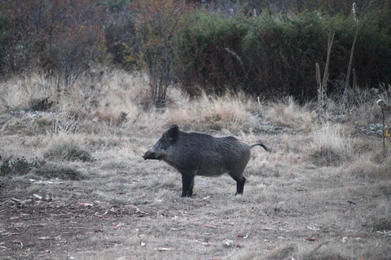 Натиснете снимката за да я уголемите

Име:IMG_4954-2.jpg
Прегледи:1
Размер:195.0 КБ
ID:5345521