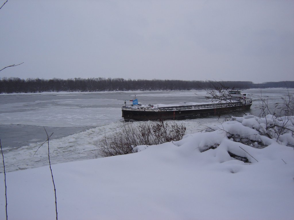 Натиснете снимката за да я уголемите

Име:DSC00379.jpg
Прегледи:1
Размер:81.2 КБ
ID:5345846