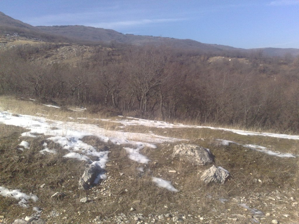 Натиснете снимката за да я уголемите

Име:05022011422.jpg
Прегледи:1
Размер:180.2 КБ
ID:5960295