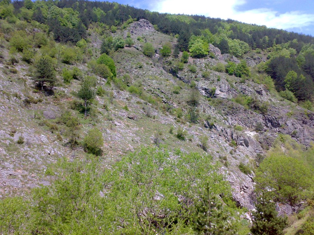 Натиснете снимката за да я уголемите

Име:21052011645.jpg
Прегледи:1
Размер:276.3 КБ
ID:5960321